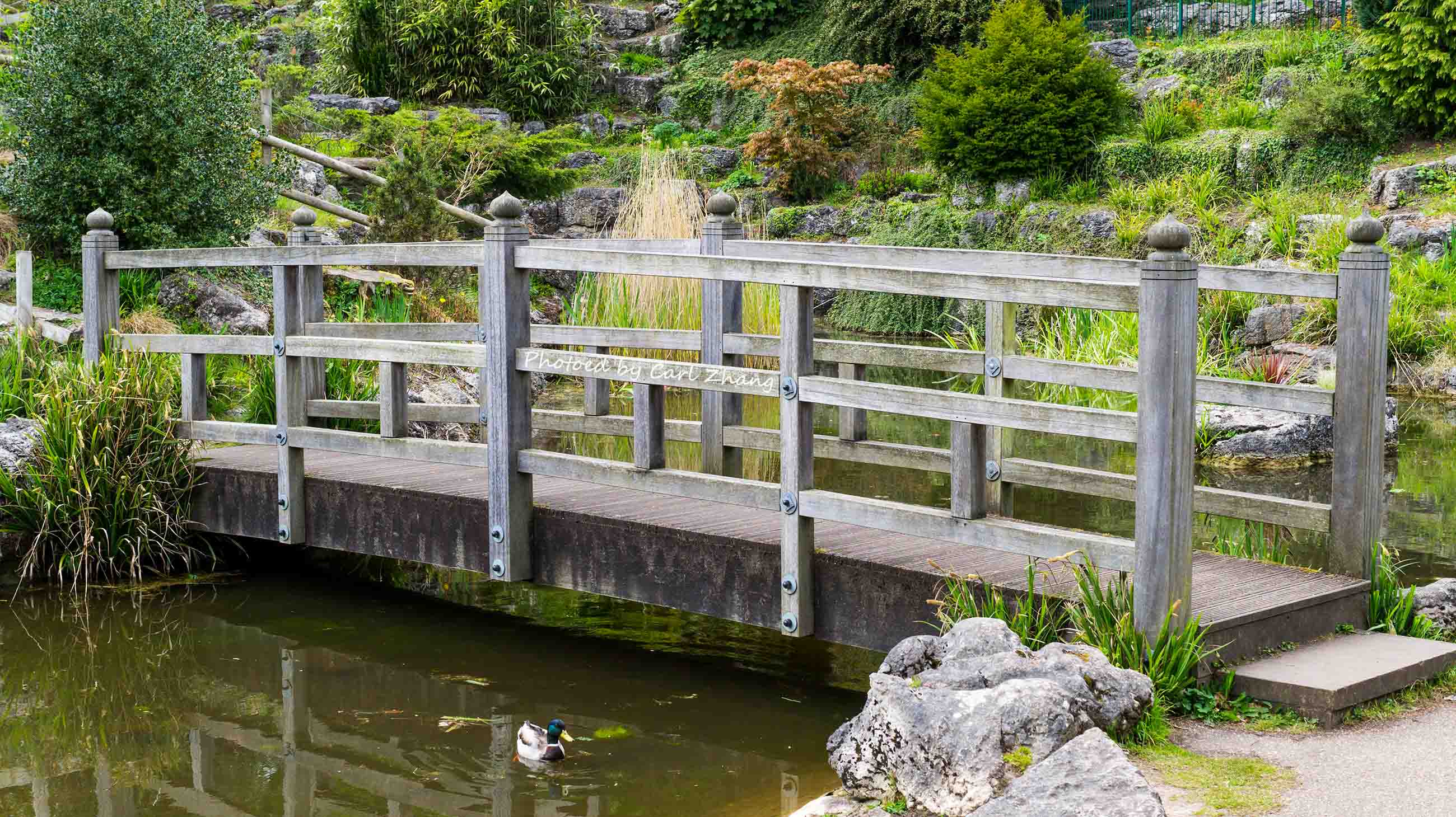 Avenham and Miller Parks